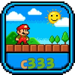 c333